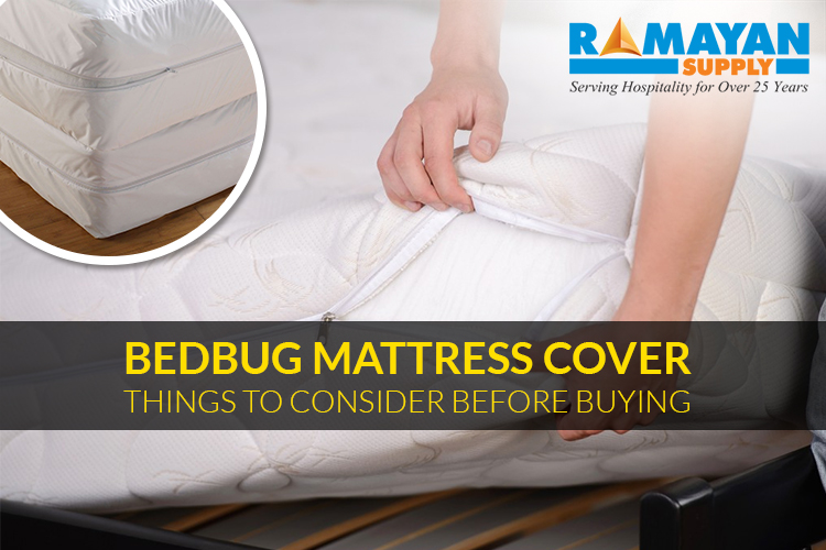 Bedbug Mattress Cover